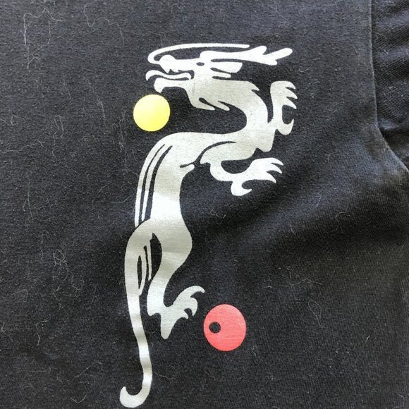 Forbidden City Beijing China Black T-Shirt Size XL - Picture 4 of 8